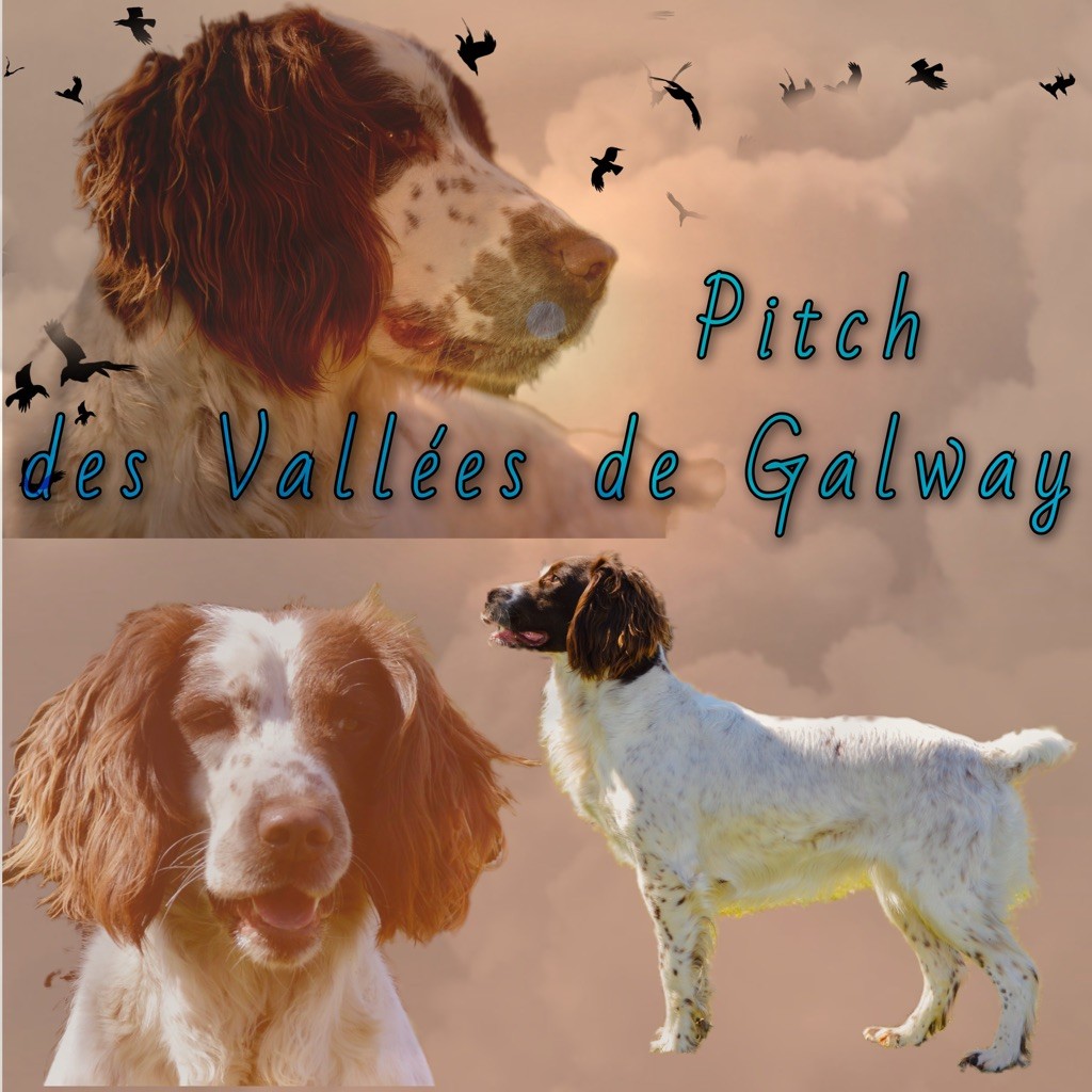 Pitch Des Vallées De Galway